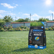 Тор за тревни площи Лято/Зима Alpha Energy+ 3 кг