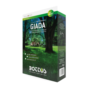 Семена за сенчести тревни площи Giada 1кг