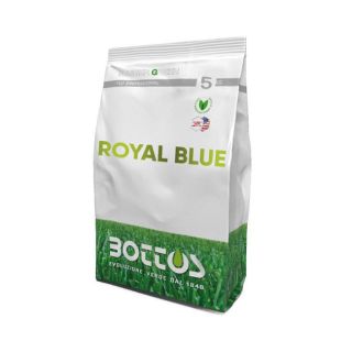 Семена за тревни площи Royal Blue 5кг